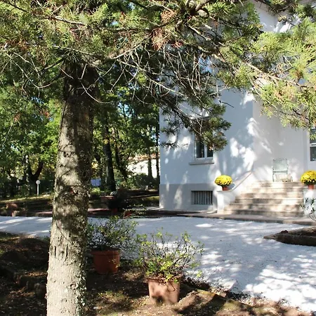 La Casa Bianca *
