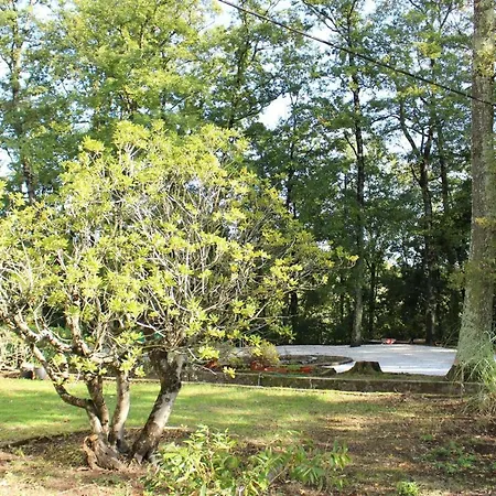 Villa La Casa Bianca Podere Pian Mucini