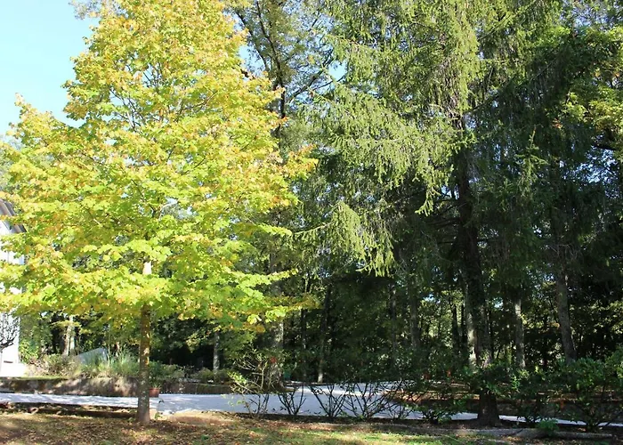 La Casa Bianca * Podere Pian Mucini